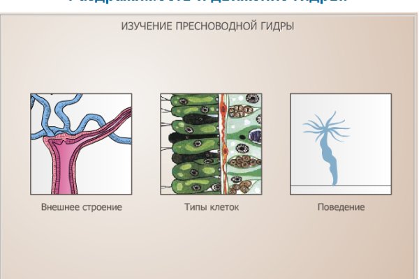 Кракен официальный сайт 2krnk cc