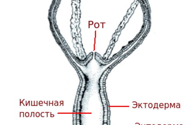 Ссылка на кракен тор kr2web in