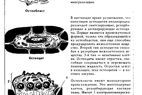 Новый адрес кракен