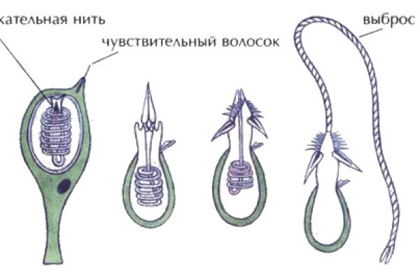 Доступ кракен