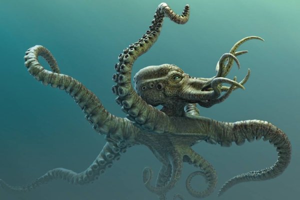 Kraken 2krn at
