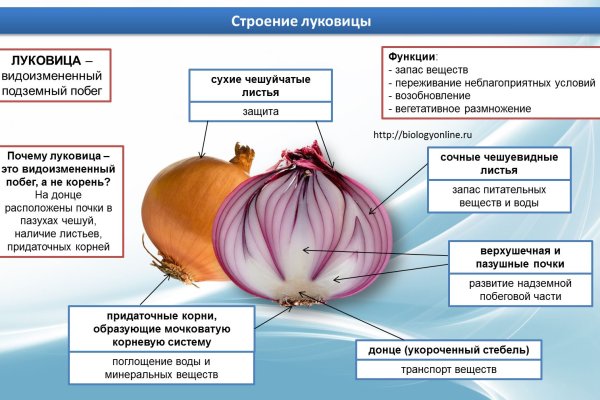 Кракен маркетплейс ассортимент