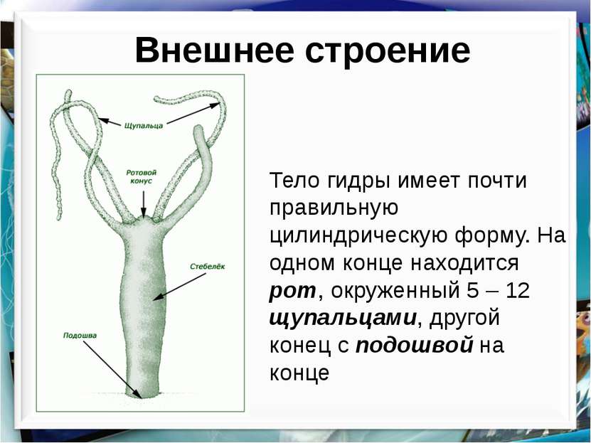 Кракен сайт kr2web in официальный ссылка